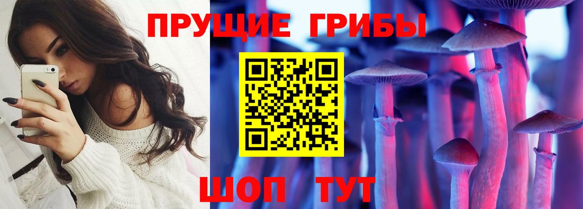 Саратов  Галлюциногенные грибы Psilocybe  Вход с VPN 